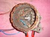 DSC01499_1.jpg