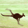 15421_prev_98.gif