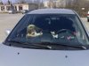ли тюн1.JPG