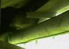inside.jpg
