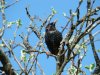 DSC00528.JPG