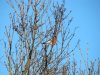 DSC00245.JPG