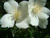 DSC00742.JPG