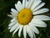 DSC00756.JPG