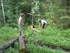 Summer-2008-043.jpg