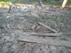 MVI_2634_resize.jpg