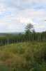 DSC06228.jpg