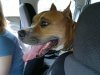 2013-05-09-159.jpg