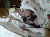 IMG-20130506-WA0004.jpg