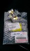 IMAG0765.jpg