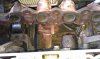 IMAG0046.jpg