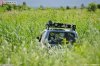 DSC_8170.JPG