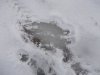 DSCN4806.JPG