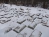 DSCN4808.JPG