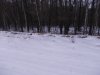 DSCN4811.JPG