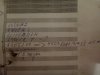 DSC02710.JPG