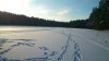 DSC_0106.jpg