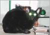 DSCN3799_L.jpg