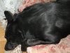 DSCN4816_L.jpg
