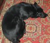 DSCN5141_L.jpg