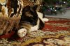 DSC00144.JPG