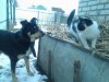 20140222_101443.jpg