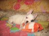 IMG_1073.jpg
