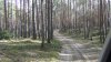 DSC00174.JPG