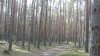 DSC00176.JPG
