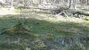 DSC00212.JPG