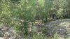 DSC00589.JPG