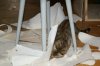 DSC01264.JPG