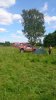 DSC_0919.JPG