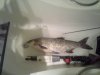 20140629_071927.jpg