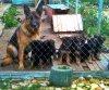 20140620_1529141 (Копировать).jpg