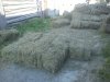 DSC00226.jpg