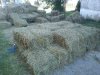 DSC00227.jpg
