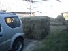DSC00228.jpg