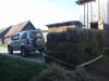 DSC00230.jpg