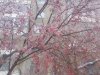IMG_20141019_174530.jpg