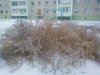 IMG_20141019_174317.jpg