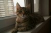 DSC01642.JPG