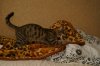 DSC01647.JPG
