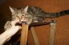 DSC01678.JPG