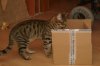 DSC01722.JPG