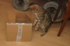 DSC01724.JPG