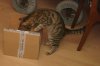 DSC01725.JPG