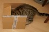 DSC01726.JPG