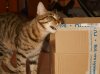 DSC01730.JPG