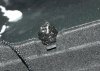 PC057440_1.JPG